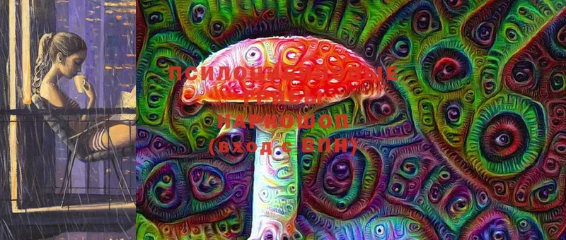 Галлюциногенные грибы Psilocybine cubensis  Азов 